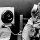 Radio Cat